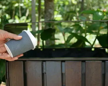 What to Do If Compost Has Worms