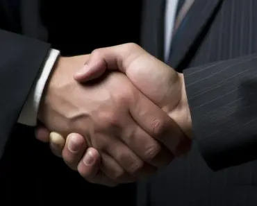 What is Guardian Insurance Used for