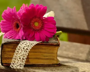 How to Read a Woods Lamp