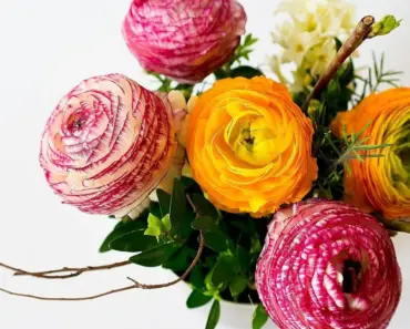 Can You Put Flowers in a Bag