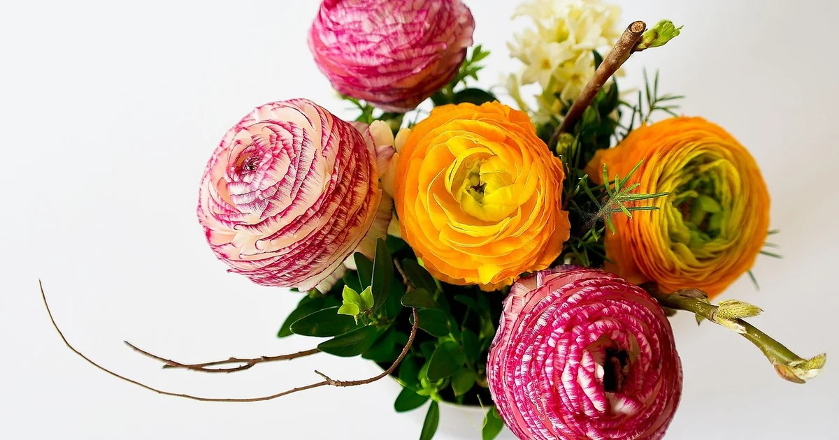 Can You Put Flowers in a Bag fresh colorful flower bouquet