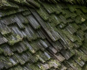 How to Remove Moss From Roof With Baking Soda
