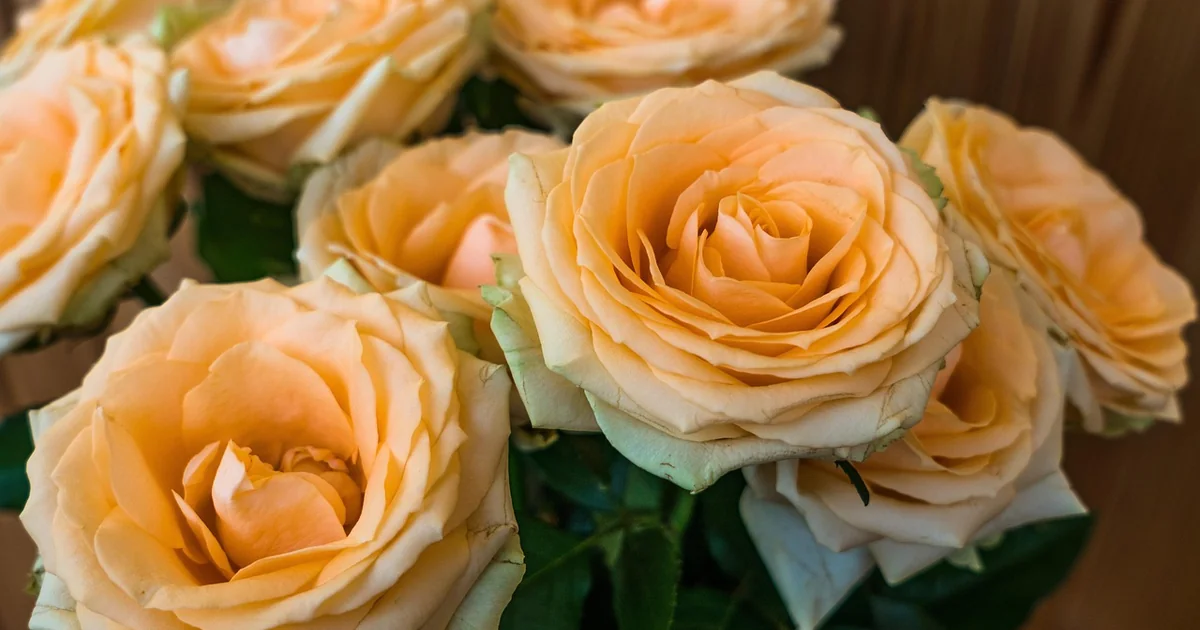 Which Countries Import Flowers fresh colorful flower bouquet