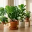 The Houseplant Fungus Gnat Cycle: Why Peat Moss Potting Soil Breeds Larvae (and the Bottom-Watering & Sub-Irrigation Physics)