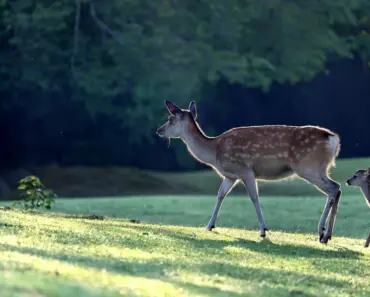 The Hardest Age to Parent