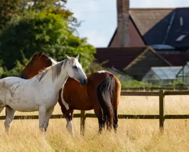 Atomic Ranch Homes Were Once Everywhere – This Is Why Builders Stopped Making Them