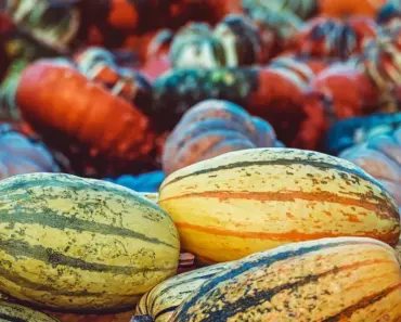 Forum Members Review the Chanel Fall 2026 Collection From Matthieu Blazy