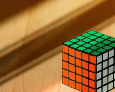 7 Easy Plant Combination Ideas For Container Gardens