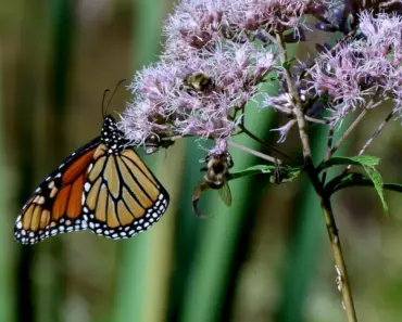 “13 Surprising Facts About Joe Jonas and Tatiana Gabriela’s Whirlwind Romance”