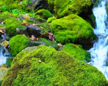 10 Secrets of Effective Discipline with the Strong Willed Child