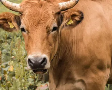 Has ‘Beef’ Been Renewed For Season 3? Here’s What We Know