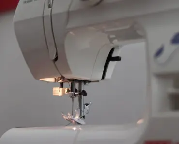 11 Essential Tips for Stunning Dahlia Blooms This Spring