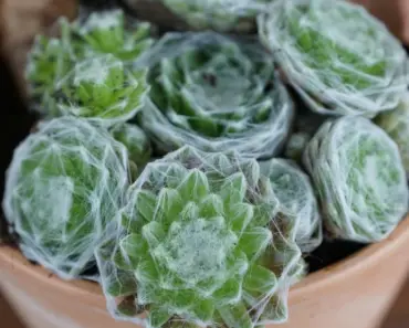 10 Earth Day Activities For The Whole Family