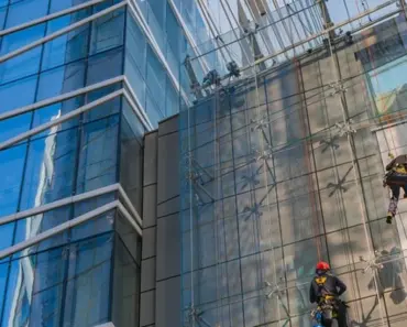 7 High-Maintenance Houseplants To Avoid Or Embrace