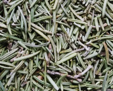 Bella Hadid Shares Her Favorite Scents for Every Situation