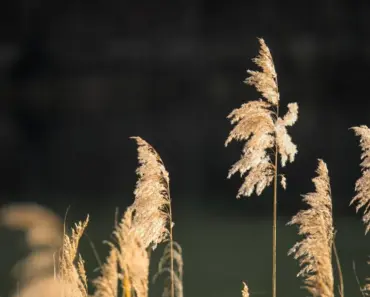 Storm Reid Spills 5 Secrets on Cosmo’s Blind Date Series