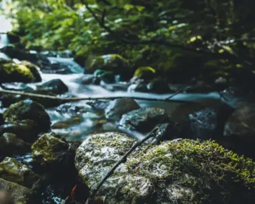 12 Spring Beauty Resolutions Approved by a Seasoned Editor