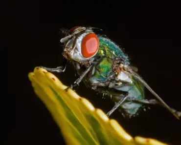 Simple, Effective 10-Minute Tasks to Help You Declutter