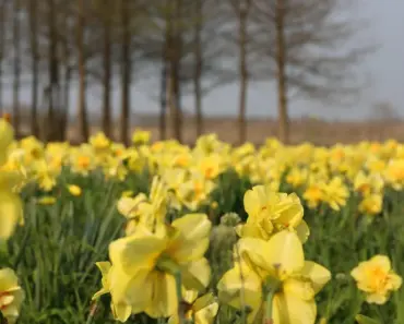 Scarlett and Cole’s Shocking Reunion: 5 Answers About Their Relationship After Temptation…