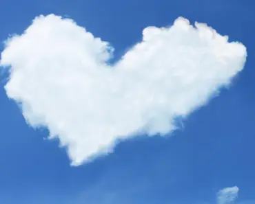 Free Printable Thank You Tags for Wine, Flowers & Hostess Gifts