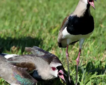 9 things teenagers desperately want to tell their parents but never do