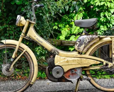 11 Essential Developmental Milestones to Expect in Your Two-Year-Old