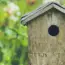 12 Clever Ways To Transform Scrap Wood Into Bird Magnets For Your Yard