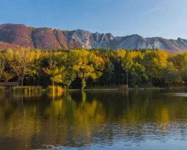 Niall Horan Shows Support for Louis Tomlinson Amid Feud Rumors: 5 Surprising Moments