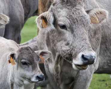 Ask Scary Mommy: What’s Your Best Advice For Raising A Strong-Willed Child?