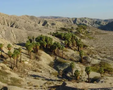 Hailey Bieber’s Coachella Nails Are Chic and Anti-Spring