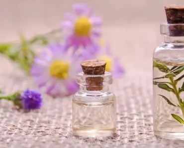 9 Zara Minimalist Essentials That Will Be the First to Sell Out This Spring