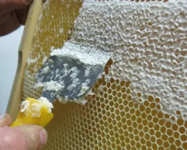 Uncovering the 7 Secrets Behind Tales From ’85’s Bizarre Connection to Stranger Things