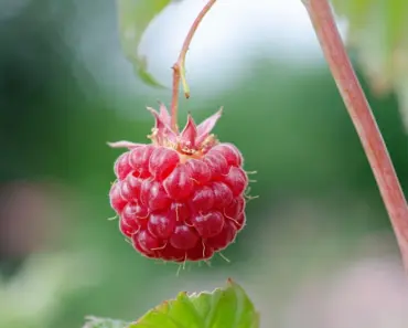 Elsa Hosk’s Top 7 Summer Sneaker Picks to Beat the Heat