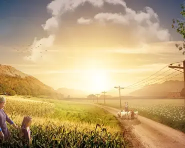 Landscape Designers Share Their 5 Favorite Colorful Shrubs