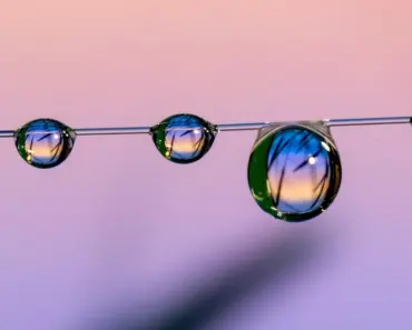 7 Simple Sustainable Swaps for a Greener Home and Closet