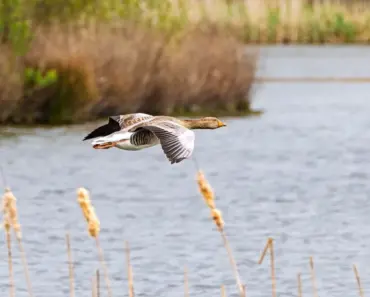 Kate Middleton’s 5 Most Elegant Emilia Wickstead Dress Moments