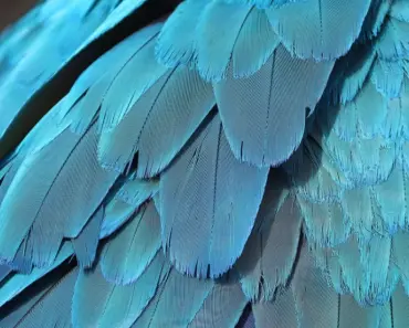 6 Signs Your Marriage Is In Its “Meh” Era & How To Shake It Off