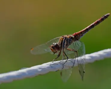 Everything You Do Is Good.