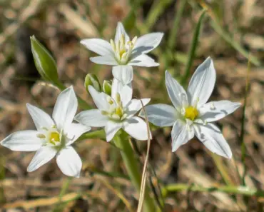 11 Surprising Facts About Nicole Brydon Bloom, Justin Theroux’s Ex-Wife