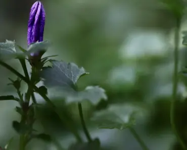 The Most Common Age Perimenopause Starts, What You Can Do To Prepare