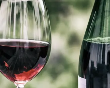 Your Empty Wine Bottles Are a Genius Garden Watering Hack
