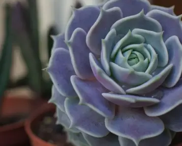 13 Reasons to Grab the Viral Lola Blanket at 50% Off Right Now