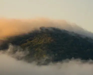 How Far Apart to Plant Carrots for the Biggest & Best Quality Roots