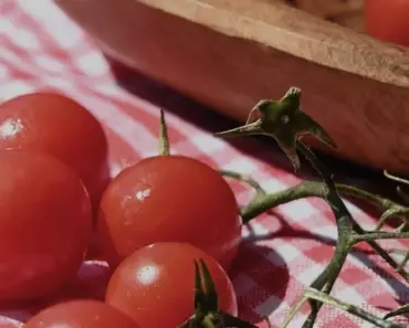 April Tomato Care: 5 Essential Steps for Healthy Plants