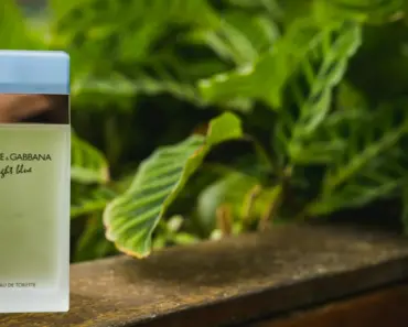 Steven Meisel Captures 9 Joyful Moments with Dolce & Gabbana’s 2026 Fragrance Campaign…