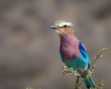 “11 Stunning Haircut Ideas for Long Hair That Won’t Chop Off Length”