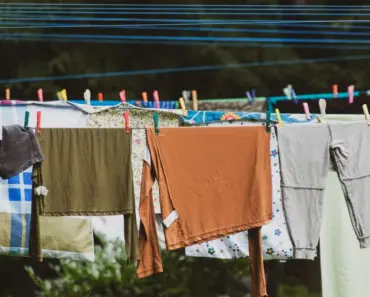 7 Magical Moments from the Highly Anticipated Practical Magic 2 Trailer