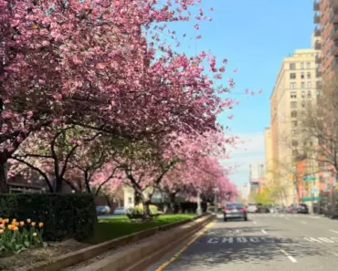 Every Buzzy Thing to Do, See, and Shop in NYC This Spring