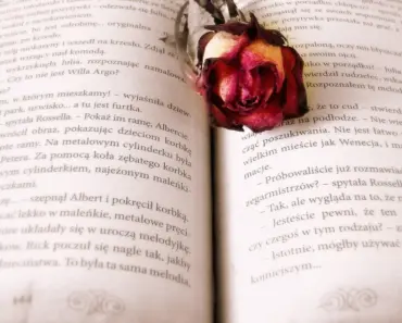 Creative Decorating Ideas With Books