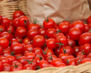 Splurging on These 7 Game-Changing Things Gives You the Best Tomatoes Ever